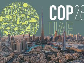 Dubai skyline with COP28 logo behind it.