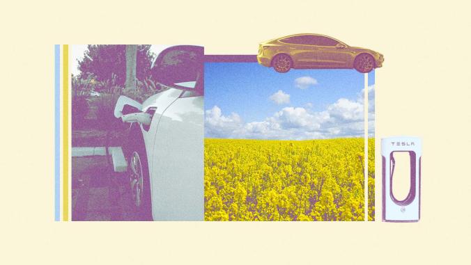 Electric cars and yellow flowers