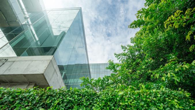 Sustainable glass office building near trees and greenery