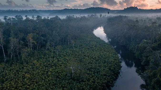 rainforest landscape with river
