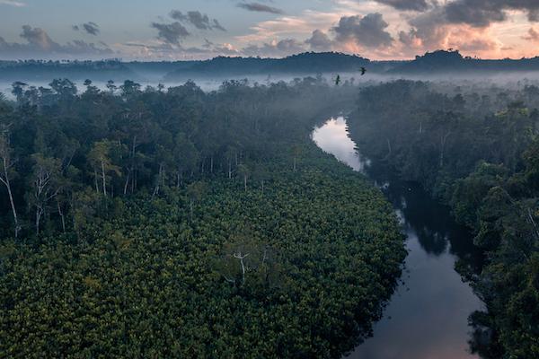rainforest landscape with river